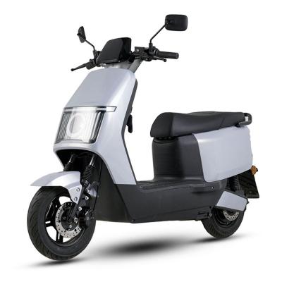 Electric Scooter YW