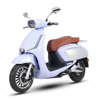 Electric Scooter V10