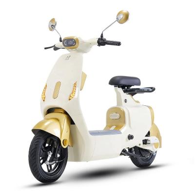 Electric Scooter W1