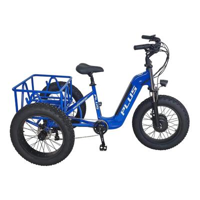 Fat Tire Electric Bicycle EM-2038