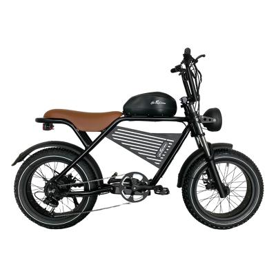Fat Tire Electric Bicycle EM-2210