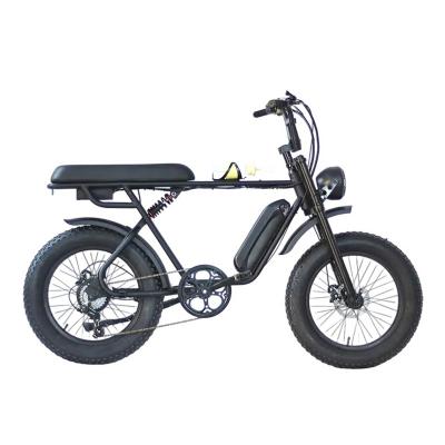 Fat Tire Electric Bicycle EM-2209