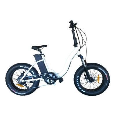 Fat Tire Electric Bicycle EM-2029