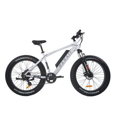 Fat Tire Electric Bicycle EM-2031