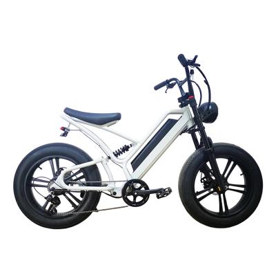 Fat Tire Electric Bicycle EM-2208