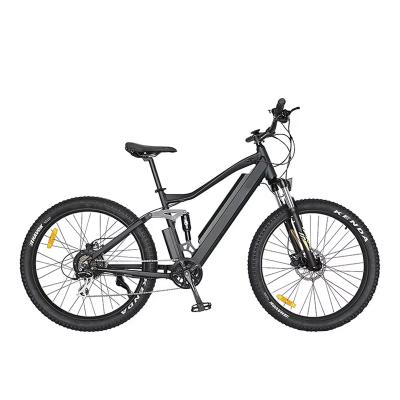 City Electric Bicycle EM-2024